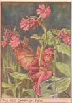 Flower Fairy Alphabet, antique Red Campion Flower Fairy print