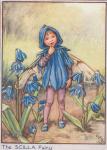 Flower Fairy Alphabet, antique Scilla Flower Fairy print