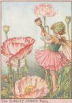 Flower Fairy Alphabet, antique Shirley Poppy Flower Fairy print