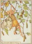 Flower Fairy Alphabet, antique Silver Birch Flower Fairy print