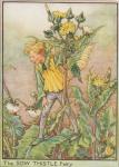 Flower Fairy Alphabet, antique Sow Thistle Flower Fairy print