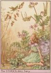 Flower Fairy Alphabet, antique Storks Bill Flower Fairy print