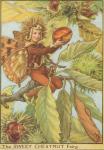 Flower Fairy Alphabet, antique Sweet Chestnut Flower Fairy print