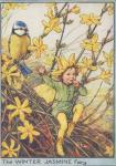 Flower Fairy Alphabet, antique Winter Jasmine Flower Fairy print