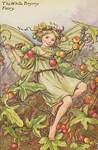Flower Fairy Alphabet, antique White-Bryony Flower Fairy print