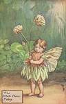 Flower Fairy Alphabet, antique White Clover Flower Fairy print