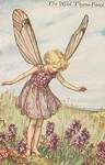 Flower Fairy Alphabet, antique Wild Thyme Flower Fairy print