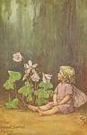 Flower Fairy Alphabet, antique Wood Sorrel Flower Fairy print