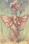 Flower Fairy Alphabet, antique Yarrow Flower Fairy print