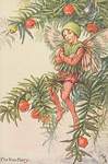 Flower Fairy Alphabet, antique Yew Flower Fairy print